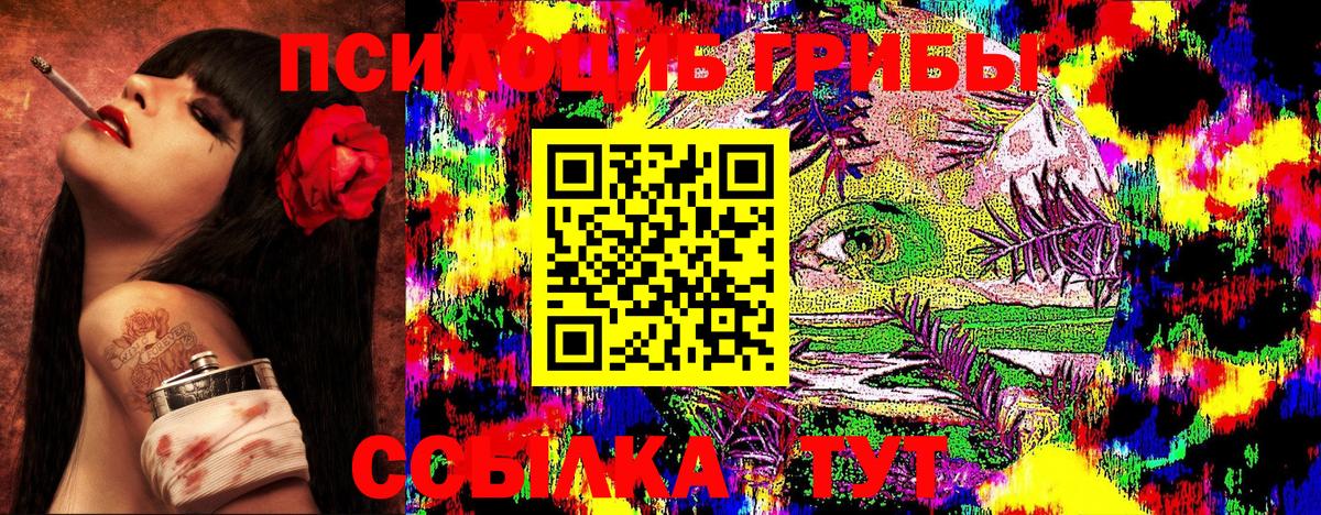 Псилоцибиновые грибы мухоморы  Гусиноозёрск 