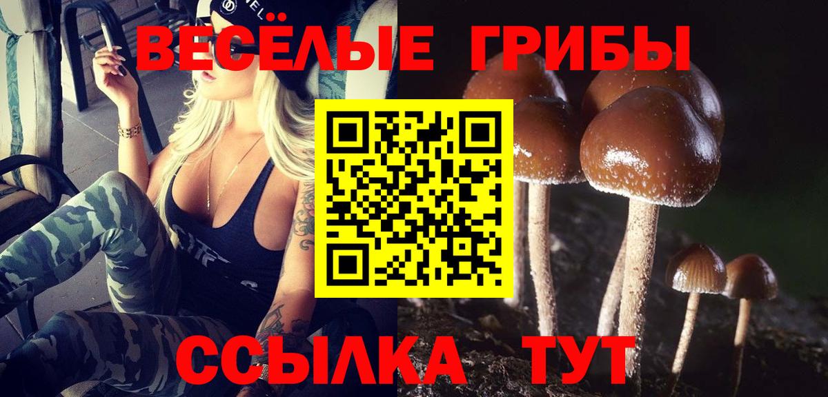 Галлюциногенные грибы ЛСД Гусиноозёрск